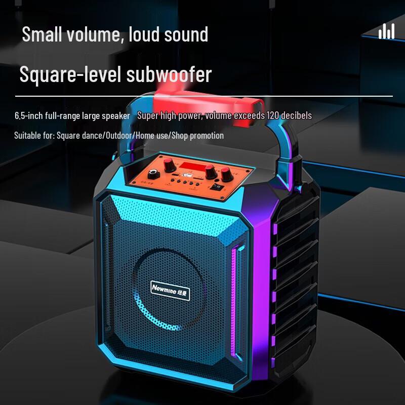 Newsmy K220 Portable Bluetooth Karaoke Speaker (CN version)