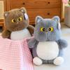 Soft Big Eyes Cat Plush Doll Fluffy Cat Stuff Doll Plush Pillow Cat Plush Toy  Children's Toys