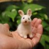 Rabbit Ornament Handmade Decorative Easter Needle Felted Baby Bunny Statue Home Supplies
