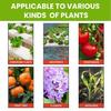 Быстрое укоренение Питательный раствор для растений Усилители роста растений Добавки Укоренение