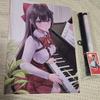 Stellar Live Aniplus Hina File Wall Scroll