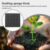 Многоразовые Посадочные Губки для Беспочвенного Выращивания Хлопковые Гидропонные для Рассады Садовые Питомниковые Растения Овощи Выращивание Посадочные Горшки