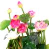 Home Decoration Pond Fish Tank Swing Personal Plastic Lotus