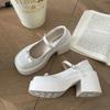 2025 new with skirt shallow mouth Mary Jane women's shoes retro French thick heel thick sole black small leather shoes women's summer