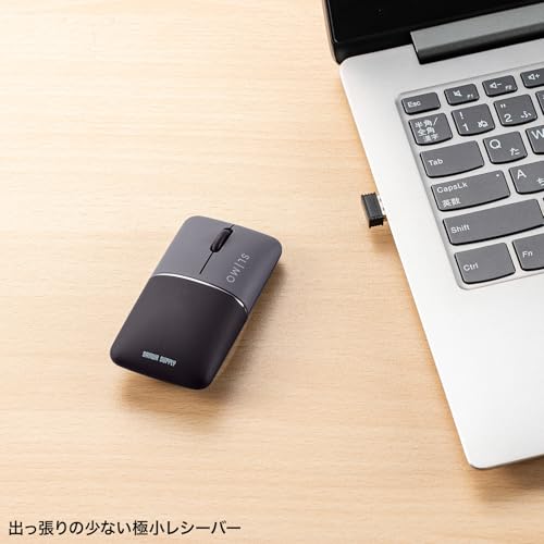 SANWA SUPPLY Бесшумная беспроводная мышь с синей светодиодной подсветкой, тонкая SLIMO/черная (перезаряжаемый) MA-WBBS310BK