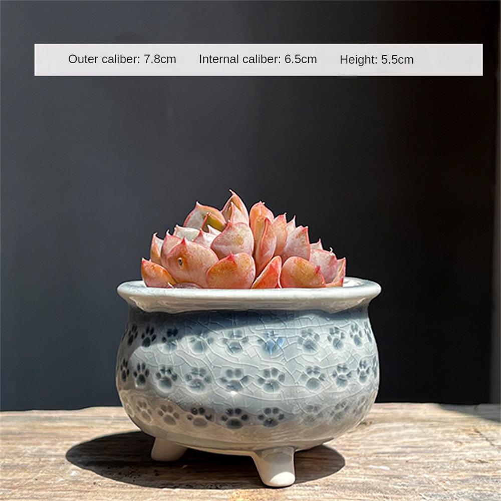 Breathable Pottery Basin Creative Meat Flower Pot Cat Claw Ceramics Draining Hole Flower Decorative Ceramic Flowerpot Flowerpot