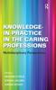 Книга Knowledge-in-Practice In the Caring Professions : Multidisciplinary Perspectives