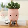 Lifelike Tulip Succulent Plants Plush Stuffed Toys Vrious Potted Flower Cactus  Bookshelf Home Living Room Decor For Girl Gift