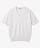 POLYGRAM Cool Touch Essential V-Neck Short Sleeve Knit - 7 Colors