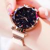 Womens Luxury Starry Bracelet Sky Watches Magnet Buckle Mesh Belt Diamond Quartz Watch