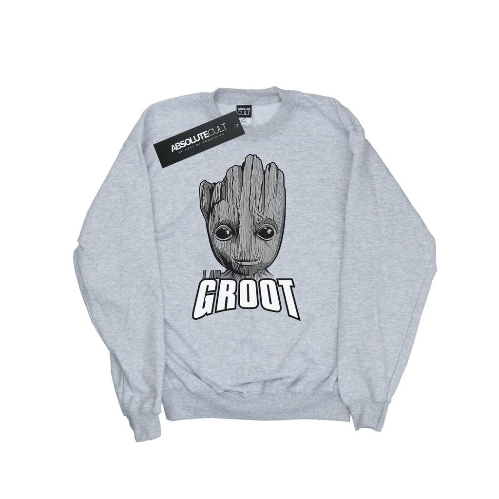 Marvel Boys Guardians Of The Galaxy Groot Face Sweatshirt