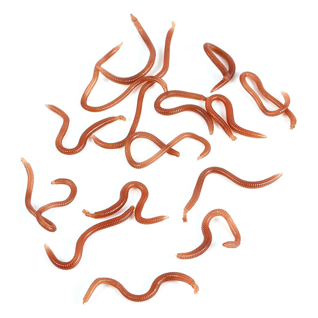 10cm Worm Shaped Fishy Smell Soft Fishing Lure Baits With Box For Fishermen