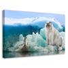 Canvas Print Cat Bear Penguin Winter