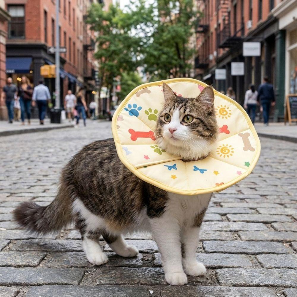 Breathable Pet Elizabethan Collar Soft Cat Recovery Collar Anti Licking Cat Collar Pet Grooming
