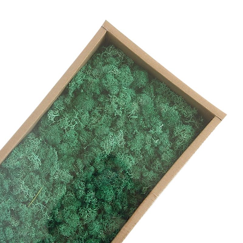 Preserved Flower & Moss Wall Decoration Kit: Flower Gift Box Materials