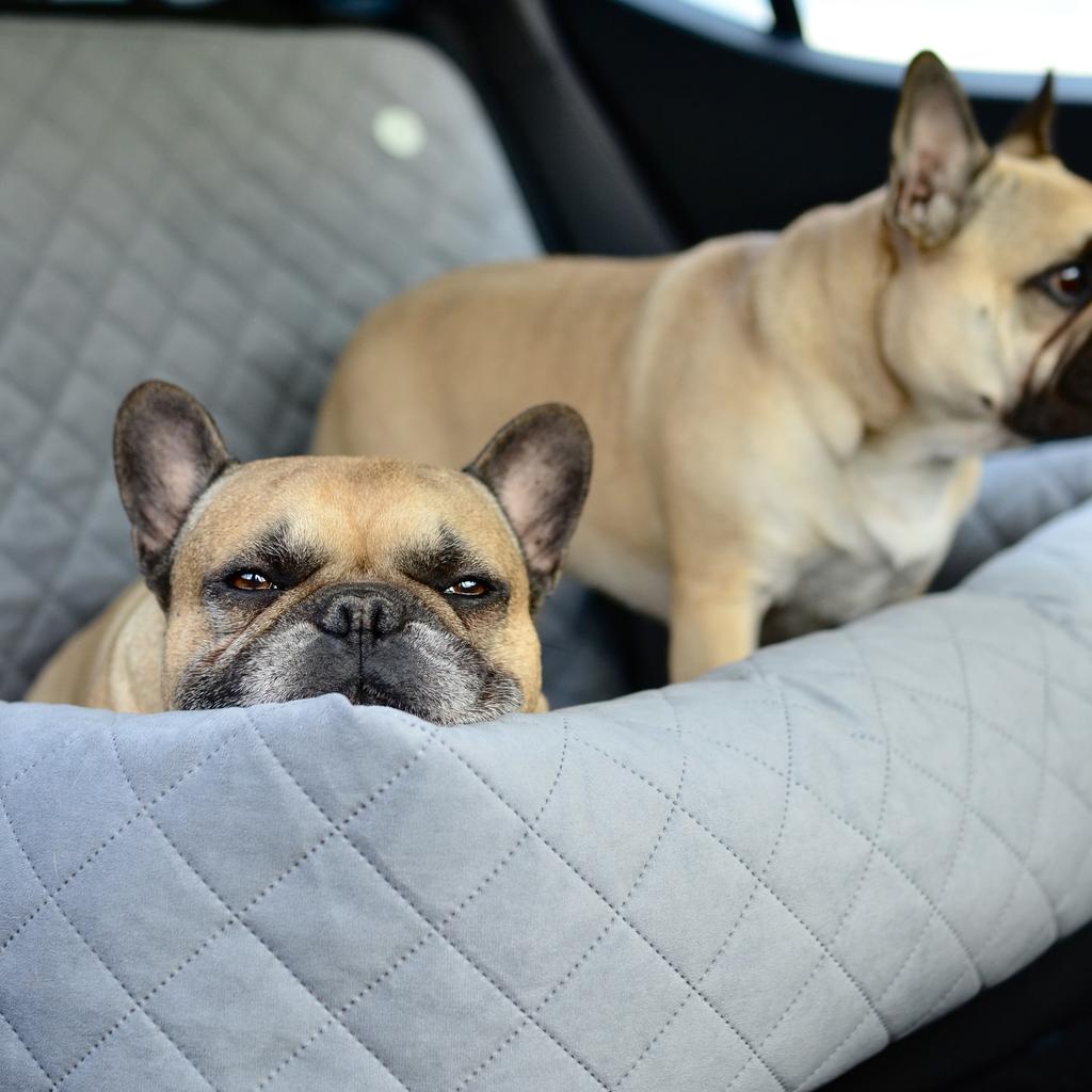 Large Dog Car Seat XL Beige