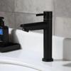 TLXT Stainless Steel Basin Faucet