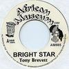 7inch Record TONY BREVETT - Bright Star / Shoot On Sight AM985 African Museum UK Reggae, Ska & Dub Used