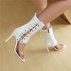 Women's High-heeled Sandals Sexy European and American Style Summer New Thin-heeled Large-size Roman Cool Boots