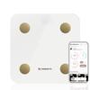 MIRROR Smart Body Composition White Weight Smartphone Linked Health Measures Up To 22 Items FIT. Meter, Scale, Meter,