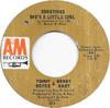 7-дюймовая пластинка BOYCE & HART Sometimes Shes A Little Girl Lov 874 AM Records 1967 США Рок Б/у