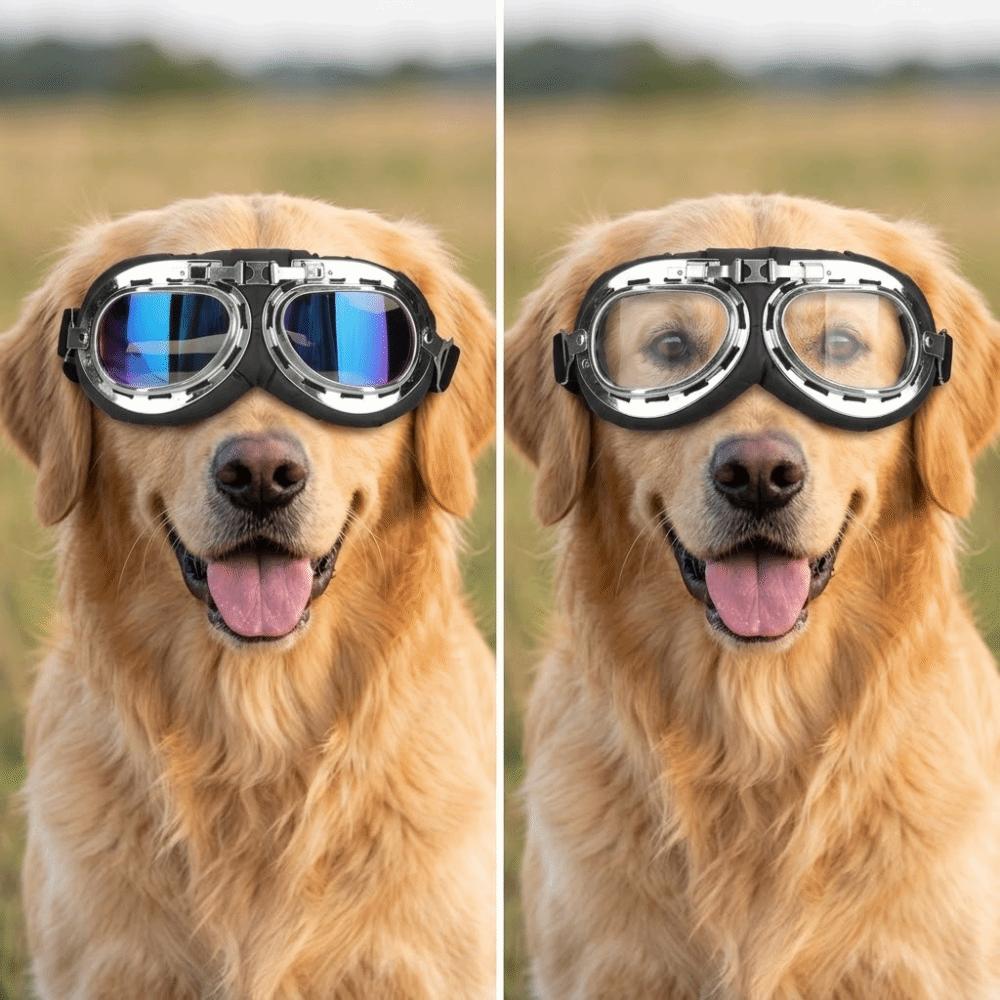 Wind Proof Dog Eye Guard Sun Ray Block Pet Eye Visor Large Frame Dog Eye Visor Outdoor Walking