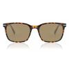 Full Rim Square TortoiSe Smartbuy Collection Forillon S Srg Cp119c faShion uniSex SunglaSSeS