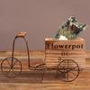 Pastoral Iron Bicycle Flower Holder Iron Bicycle Flower Frame
