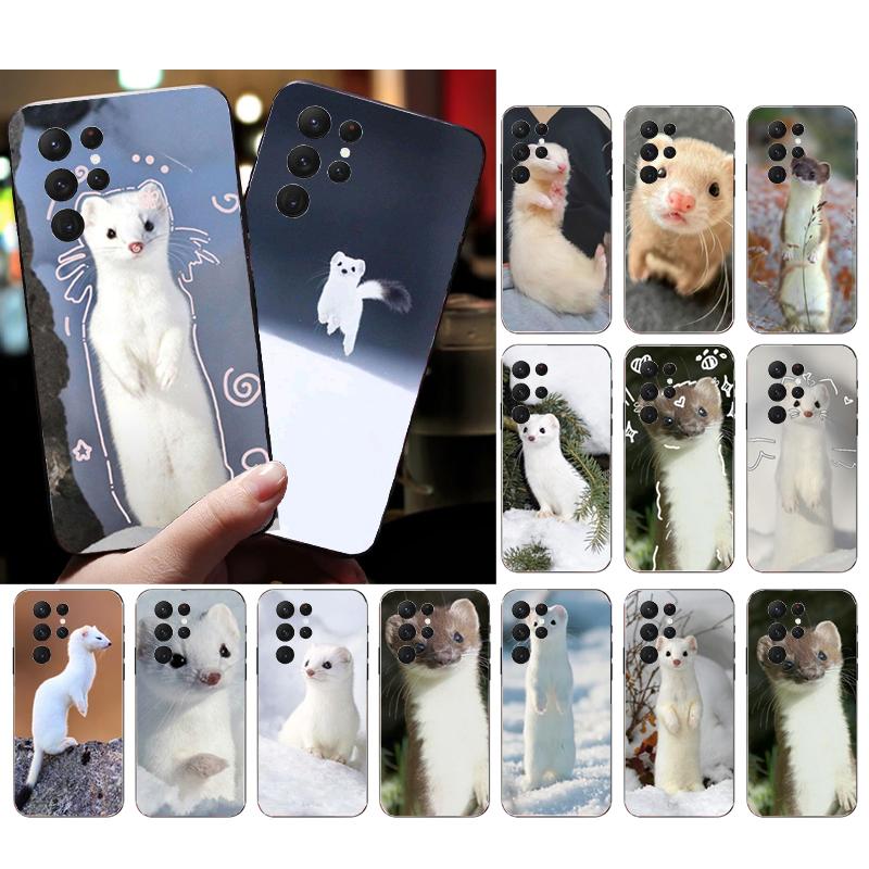 Phone Case For Samsung Galaxy S26 S25 S24 S23 S22 Ultra S23 S22 S25 Plus S24FE S23FE S26Edge Cute animal Stoat