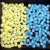 Popular Heat Shrink Tulip Night Light Flower Hairpin DIY Jewelry & Hair Accessory Kit