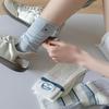 Women's Spring and Summer Thin Cloth Label Embroidered Outer Wear In The Tube Pile Socks