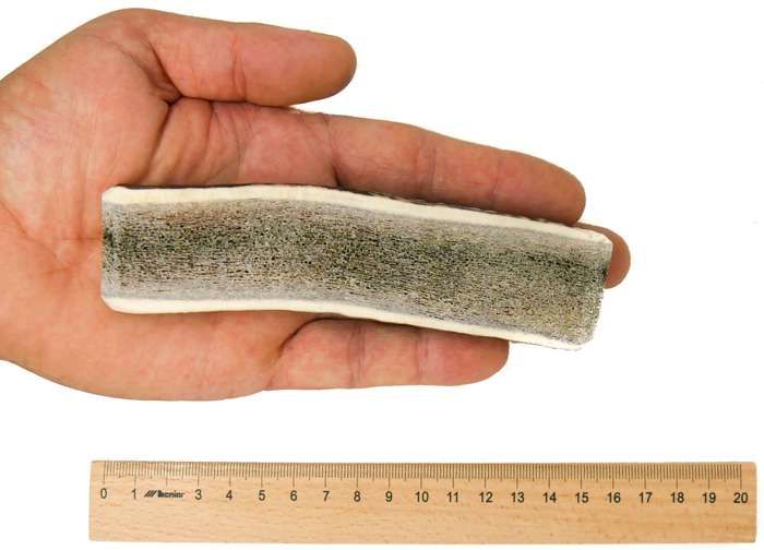 Jouet à mâcher naturel - RF - DEER - Bois de cerf élaphe L - 100% Naturel - Sûr et durable