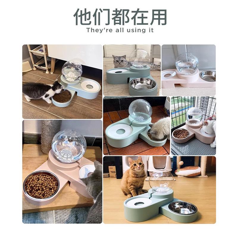 Cat automatic feeder Pet water dispenser Cat food bowl Large capacity water feeder Dog water dispenser Flow feeding