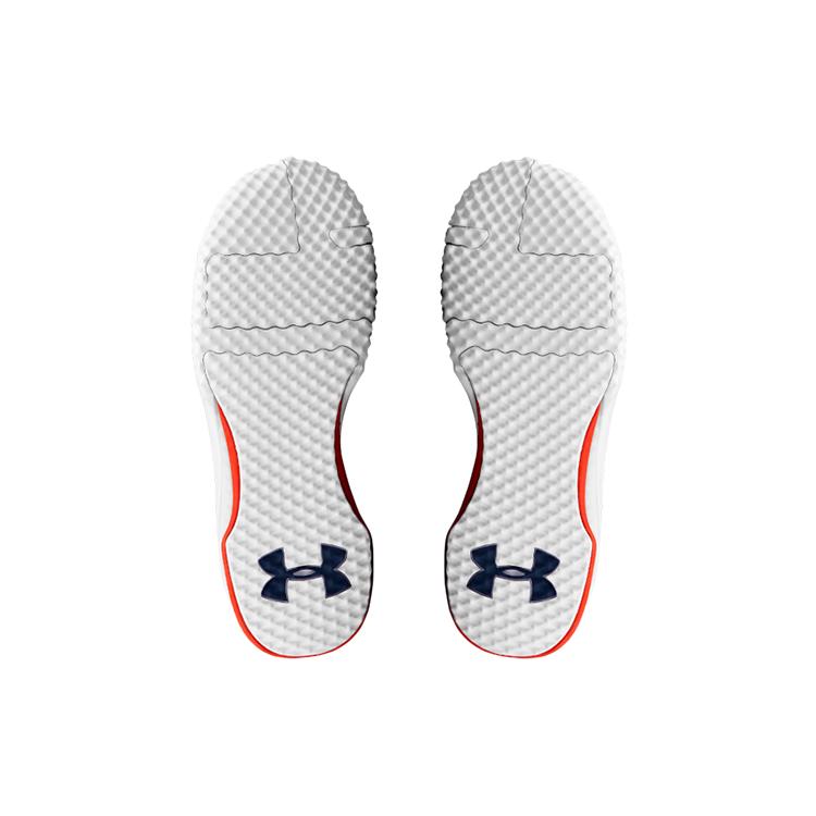 Under Armour Project Rock 1 Синий Белый Красный 3020788-401
