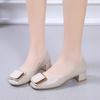 Fashion Women Pointed Toe Square Heel Shoes Chunky Heels Casual Slip On Lady High Quality Comfort Party Wedding 2025 Summer Pumps