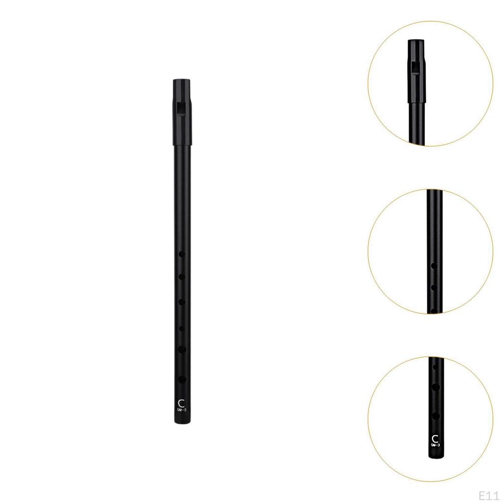 Свисток Флейта Свистящий Легко Чистый Инструмент Подарок на День Рождения Портативный Пенни 6 Отверстий