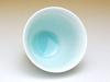 Set of 5 Arita Ware Blue and White Porcelain Sencha Tea Bowls for Gift Boxed Guests,