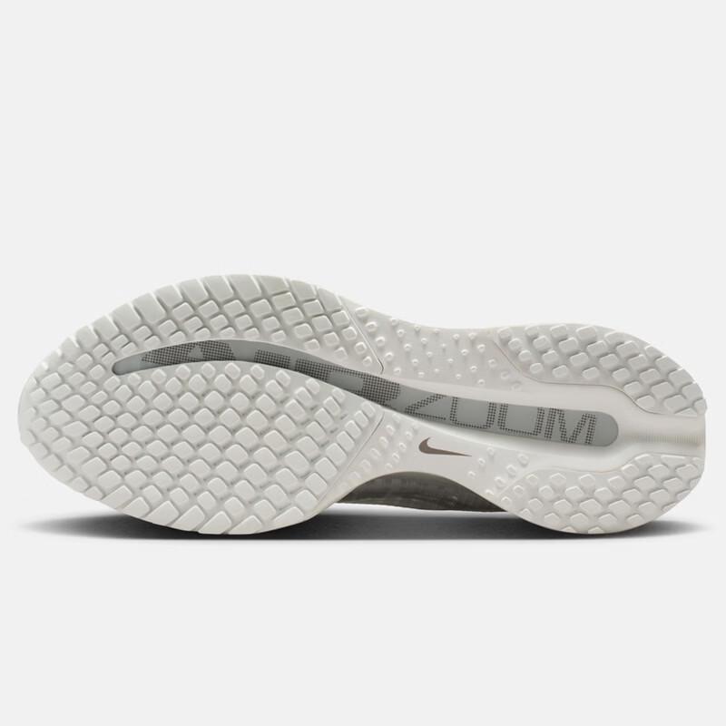 Nike Женские беговые кроссовки Pegasus Premium