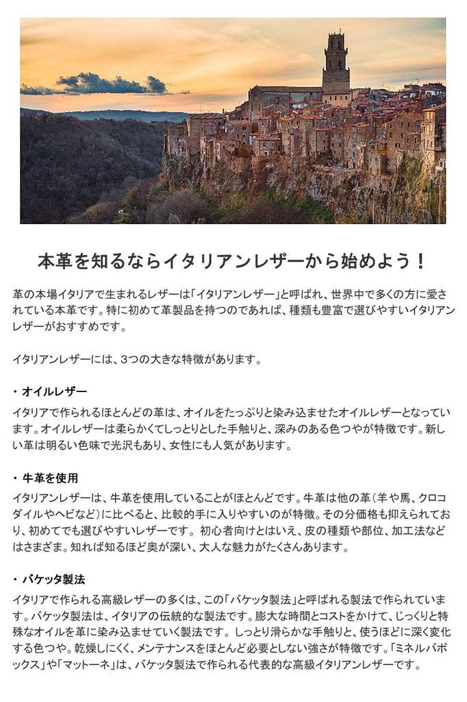 NEEL Оригинальный рожок для обуви Мобильный рожок для обуви Брелок Итальянская кожа Черный