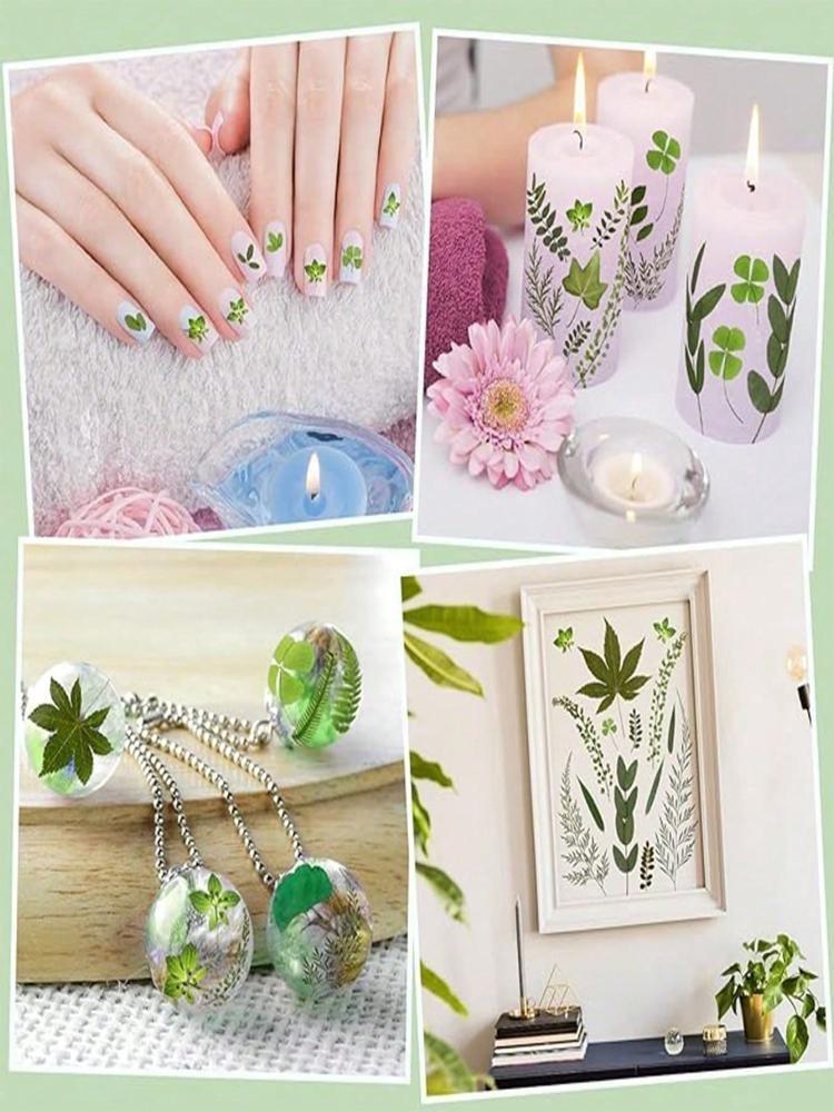 84 шт. сушеных листьев, прессованные цветы с пинцетом для форм из смолы, настоящая натуральная ассорти из сухой зелени для поделок, мыла, свечей, украшений для скрапбукинга