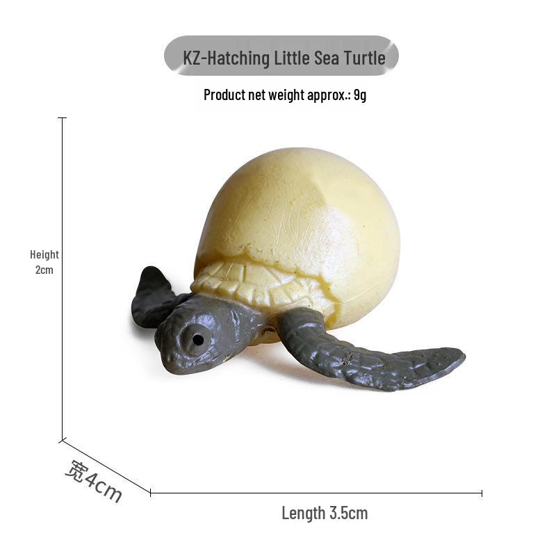 Children's Cognitive Marine Animal Models: Sea Turtle and Tortoise Toys