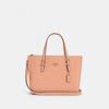 Coach Сумка-седло Mollie Tote 25 Gold Chalk Light