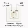 Двойная настенная розетка USB стандарта ЕС, электрическая розетка с портом быстрой зарядки USB Type-C 16A, розетка для панели ПК 220 В