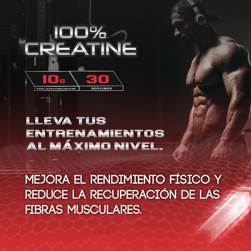 Healthy Fusion 100% Creatine Monohydrate, High Dose | 10g of Creatine Per Serving | 300g Watermelon Flavor
