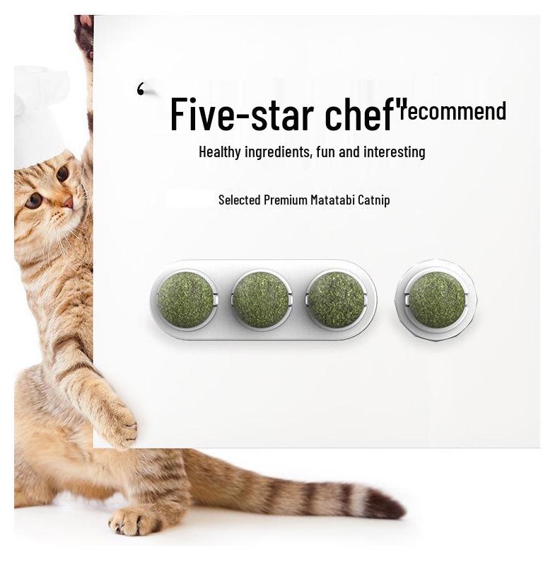 Catnip Merry-Go-Round: Self-Play Teething Toy with Matatabi Fruit for Cats