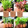 10pcs/set Decorative Aquatic Planting Ring Pottery Pottery Gravity Ring  Aquarium
