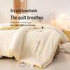 Goodnight Cloud-Feel Soybean Antibacterial All-Season Duo Quilt