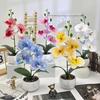 Artificial Plastic Phalaenopsis Flower Bonsai For Event Decoration Home Styling