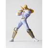Legacy Revoltech Кулак Северной Звезды Син LR-027 (Покрашенная фигурка действия из АБС-пластика и ПВХ)
