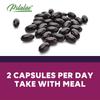 Elderberry Capsules 3200mg - with Black Elder Extract - Energy & Immune Booster